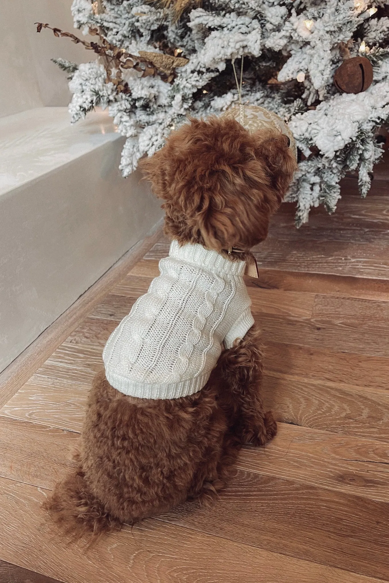 Unleashed - Ivory Knit Sweater